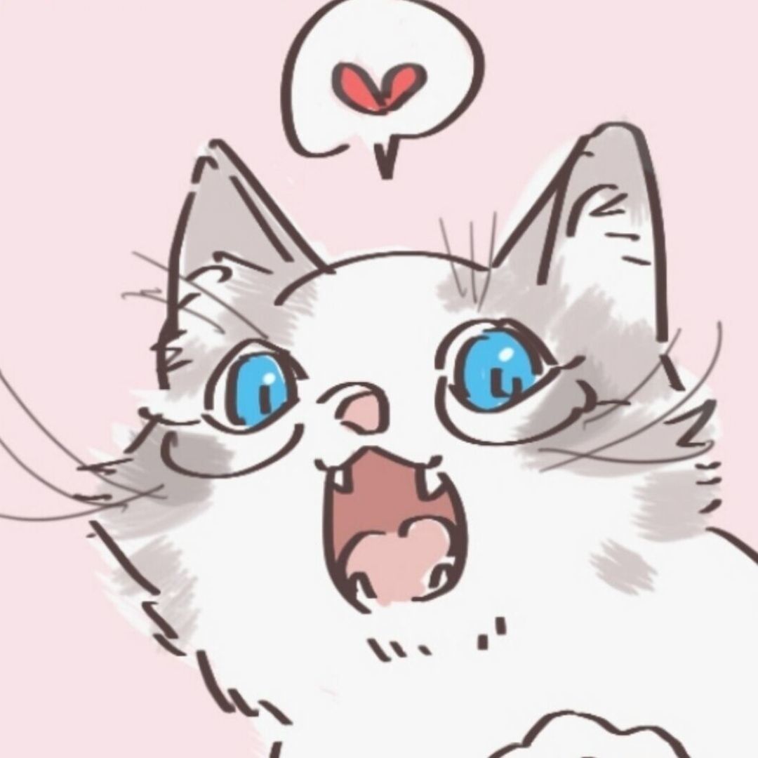 罗宾猫头像